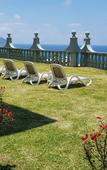 Туры в отель Calm Sorento