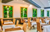 Туры в отель Sertil Deluxe Tropical Suites