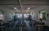Туры в отель Sunny Palms Beach Bungalows