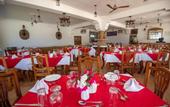 Туры в отель Sunny Palms Beach Bungalows