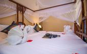 Туры в отель Sunny Palms Beach Bungalows