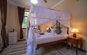Туры в отель Sunny Palms Beach Bungalows
