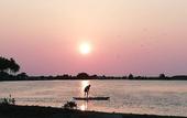 Туры в отель The Blue Lagoon Resort Kalpitiya
