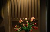 Туры в отель Human Hotel