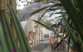 Туры в отель Bubble Lodge Bois Cheri