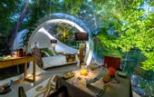 Туры в отель Bubble Lodge Bois Cheri