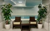 Туры в отель Rusel Park Hotel