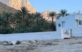 Туры в отель Wadi Alarbeieen Resort