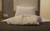 Туры в отель My Bed