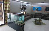 Туры в отель Al Burj International Hotel