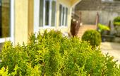 Туры в отель GardenBerry Hotel