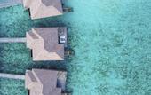 Туры в отель Barcelo Whale Lagoon Maldives