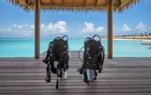 Туры в отель Barcelo Whale Lagoon Maldives