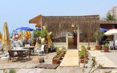 Туры в отель Green House City Hotel