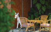 Туры в отель Payaa Hotel