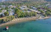 Туры в отель Regia Mare Beach Hotel Bodrum