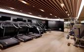Туры в отель Four Points by Sheraton Seoul Gangnam
