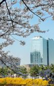 Туры в отель Doubletree By Hilton Seoul Pangyo Residences