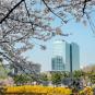 Туры в отель Doubletree By Hilton Seoul Pangyo Residences, оператор Anex Tour