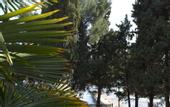 Туры в отель Феодоро Парк-отель