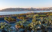 Туры в отель The Peninsula Istanbul