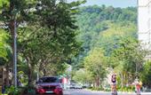 Туры в отель D’Lioro Hotel & Resort