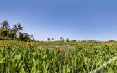 Туры в отель Swan Paradise a Pramana Experience