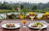 Туры в отель Swan Paradise a Pramana Experience