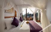 Туры в отель Swan Paradise a Pramana Experience