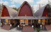 Туры в отель Jambuluwuk Oceano Gili Trawangan Resort