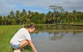 Туры в отель Korurua Dijiwa Ubud