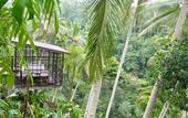 Туры в отель Hoshinoya Bali