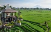 Туры в отель Gdas Bali Health And Wellness Resort