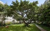 Туры в отель The Standard Hua Hin