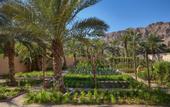 Туры в отель Six Senses Zighy Bay