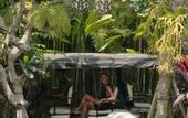 Туры в отель La Reserve 1785 Canggu Beach