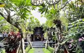 Туры в отель La Reserve 1785 Canggu Beach