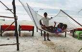 Туры в отель Sipano Beach Lodge Kiwengwa