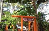 Туры в отель Sipano Beach Lodge Kiwengwa