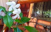 Туры в отель Sipano Beach Lodge Kiwengwa