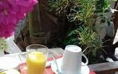 Туры в отель Sipano Beach Lodge Kiwengwa