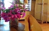 Туры в отель Sipano Beach Lodge Kiwengwa