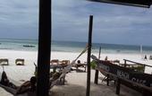 Туры в отель Sipano Beach Lodge Kiwengwa