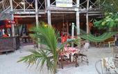 Туры в отель Sipano Beach Lodge Kiwengwa