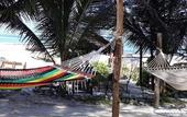 Туры в отель Sipano Beach Lodge Kiwengwa