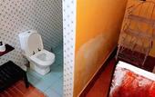 Туры в отель Sipano Beach Lodge Kiwengwa