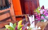 Туры в отель Sipano Beach Lodge Kiwengwa