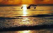 Туры в отель Sipano Beach Lodge Kiwengwa