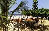 Туры в отель Sipano Beach Lodge Kiwengwa