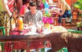 Туры в отель Sipano Beach Lodge Kiwengwa